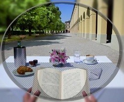 bifokalglas Bifokalglas